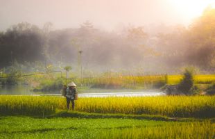 Discover the Best of Vietnam:  21-day journey from North to South